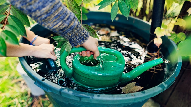Watering can
