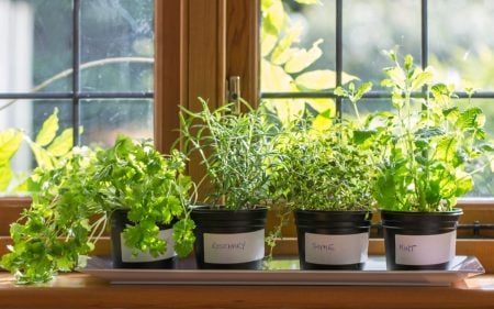 How to Be More Sustainable at Home