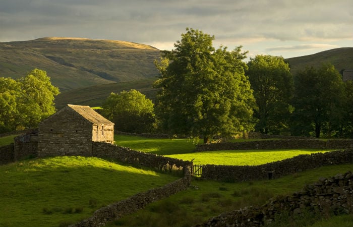 Dreaming of a countryside retreat? You might be surprised by real rural property prices