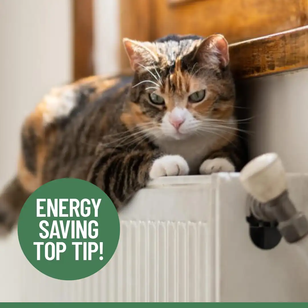 Beyond The Grid – Budget Friendly Tips